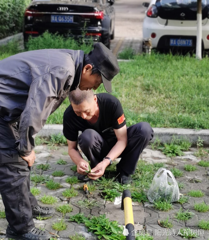 影子|笑，从心里发了出来