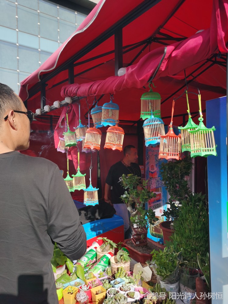 影子|笑，从心里发了出来