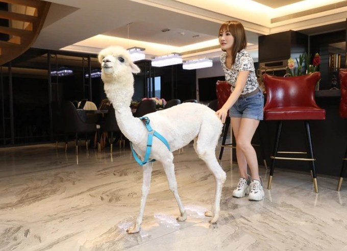 王宥忻|让人不解！知名女星聘请老公前妻照顾儿女，还特地相约一起旅游