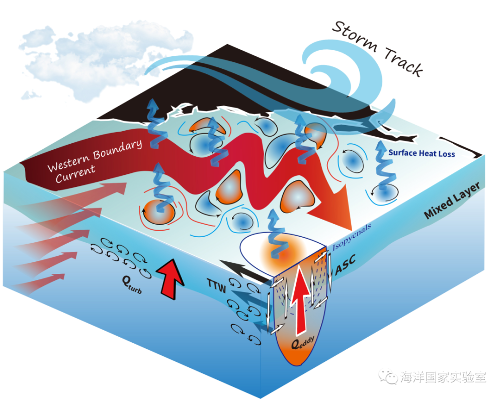 在西边界流延伸体区域,冬季风暴过境时激发的海洋湍流混合过程打破了