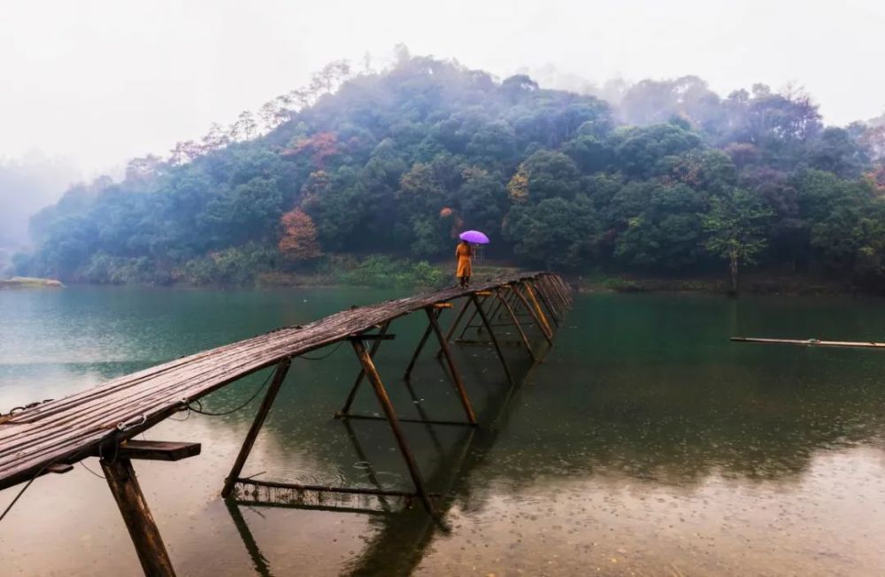 微雨|20首微雨诗词，不知何处雨，已觉此间凉