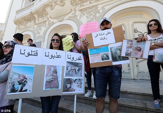 动物收容所|突尼斯动物收容所24只狗被虐杀，尸体倒在血泊中，现场一片狼藉