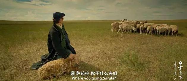 白云之下|《白云之下》长沙路演，主创亮相走心畅谈“妥协与抉择”