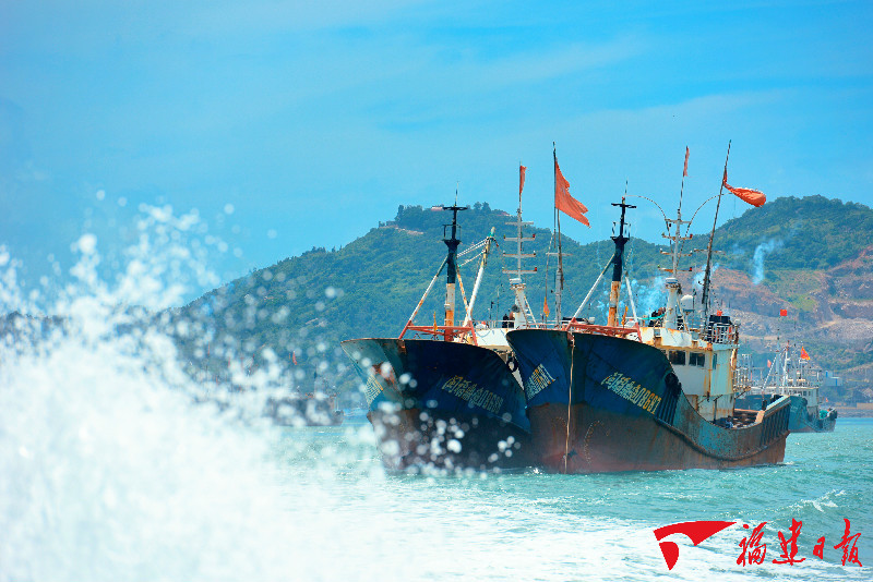 宁德福鼎首批514艘渔船起锚出海