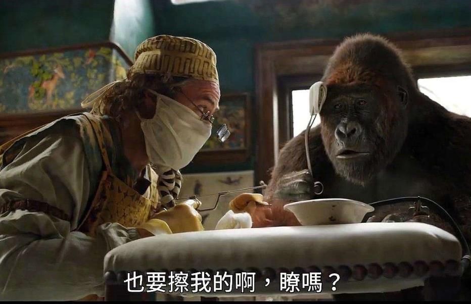 小罗伯特·唐尼|荐片：《刺猬索尼克》赶超钢铁侠新片，金 凯瑞撞脸徐锦江