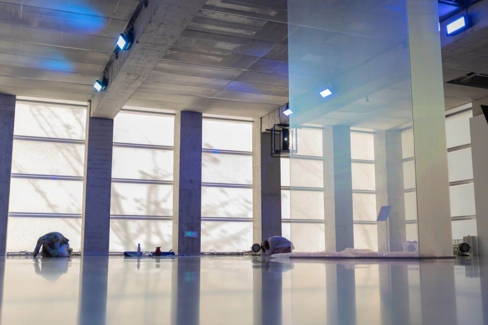 中国国家博物馆|杭州读钱瘦铁与桥本关雪，国博观抗疫大展