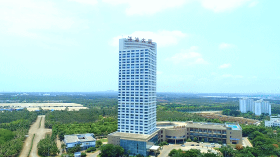 潮涌洋浦|洋浦国际:国际化平台打造最优营商环境