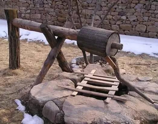 乌龟|古人挖井，为何将乌龟放入水中？古人智慧果然了得