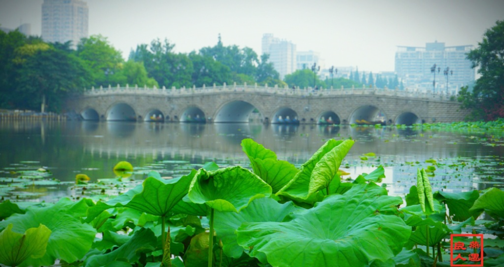 南通這幾個景美又涼快的地方夏天可千萬不能錯過