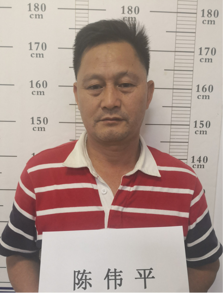 陈伟平(绰号:洋狗,男,51岁,龙川县老隆镇人)陈 频(绰号:阿频,男,38岁