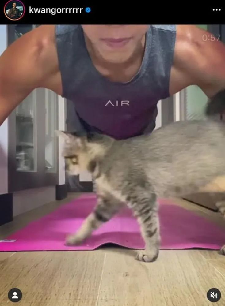 袁伟豪|袁伟豪做25个俯卧撑露出小肚腩，香港明星跟风挑战到底有何意义？