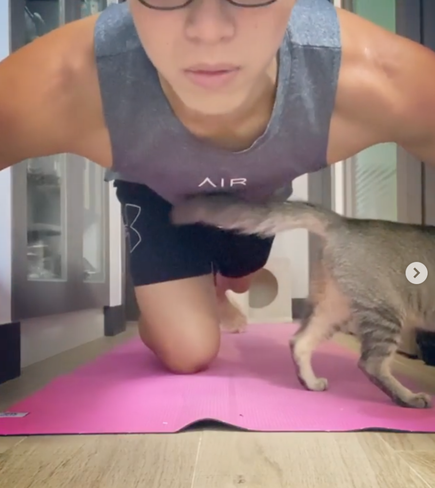 袁伟豪|袁伟豪做25个俯卧撑露出小肚腩，香港明星跟风挑战到底有何意义？