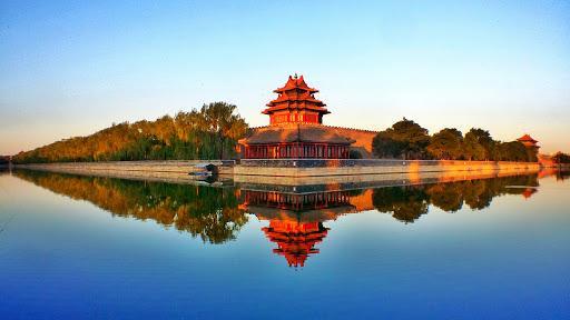 北京|北京成为名副其实的“野性都市”