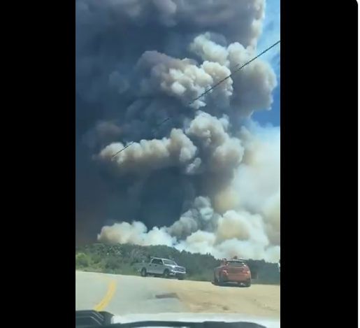 美国有线电视新闻网|美国加州燃起大火现场浓烟滚滚 7800人紧急撤离