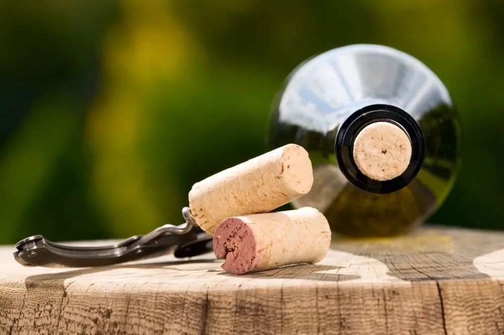 葡萄酒的软木塞是由什么制作而成