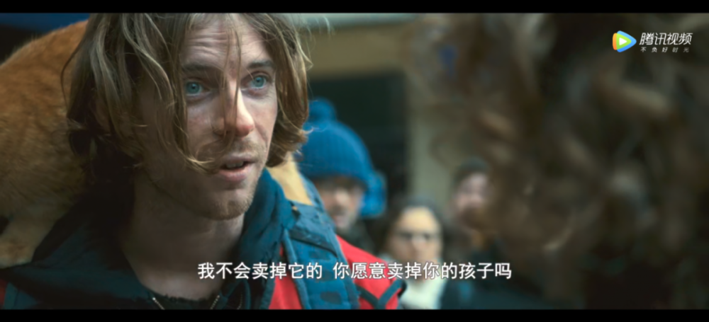 《流浪猫鲍勃》电影截图祝阿姨每每下楼看不见自己的猫,都感觉心里空
