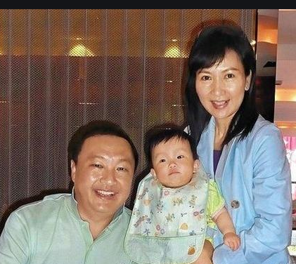 当初被关之琳骂是不会下蛋的鸡终身不孕的陈美琪现在过得怎样了