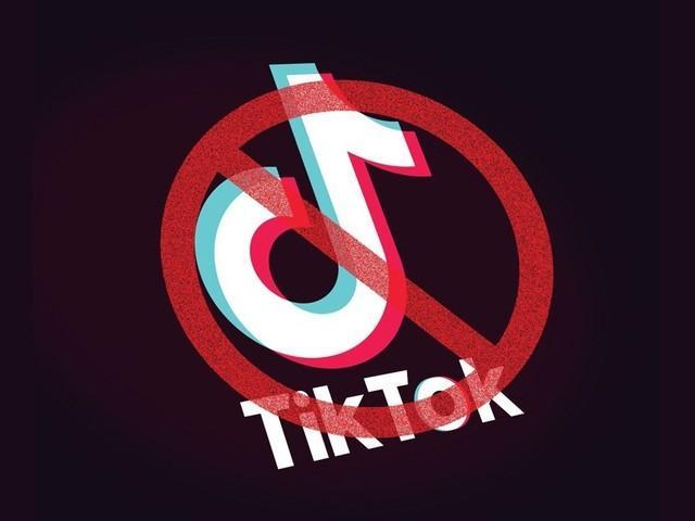 抖音海外版tiktok,被多国禁用,美企估价500亿美元欲购?