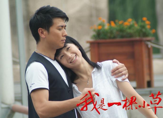 四,《我是一颗小草》一部将母亲的辛酸表现到极致的电视剧,这部剧的