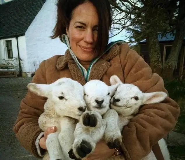 卡利达斯|为了寻找宁静，她离开城市，在岛上生活了16年