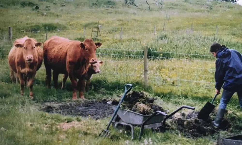 卡利达斯|为了寻找宁静，她离开城市，在岛上生活了16年