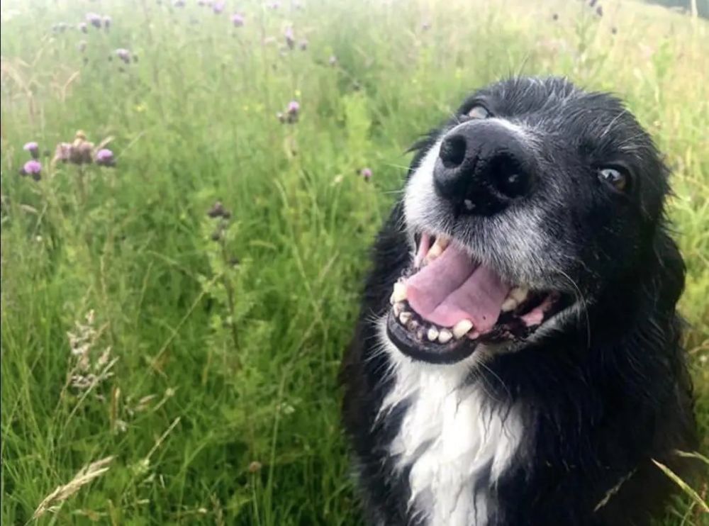 卡利达斯|为了寻找宁静，她离开城市，在岛上生活了16年