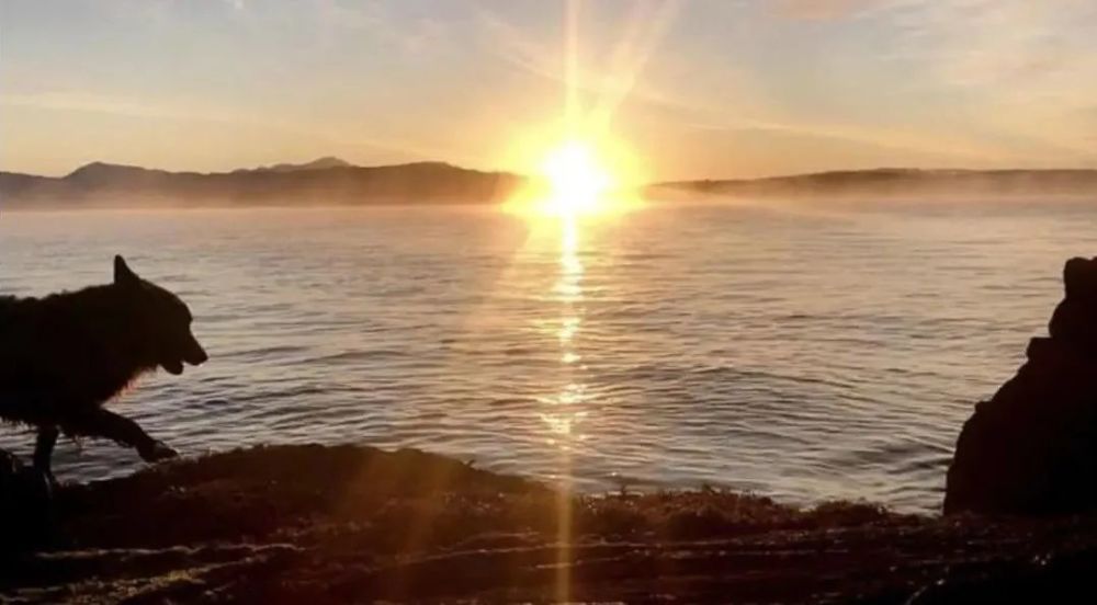 卡利达斯|为了寻找宁静，她离开城市，在岛上生活了16年