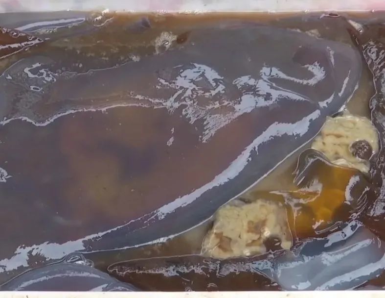 海蜇里子 你吃过吗? 海蜇脑子 听过吗? 海蜇