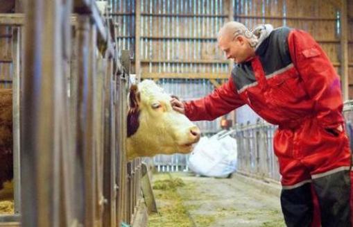 监狱|全球最特别的两所监狱，从无狱警看守，却至今未发生越狱