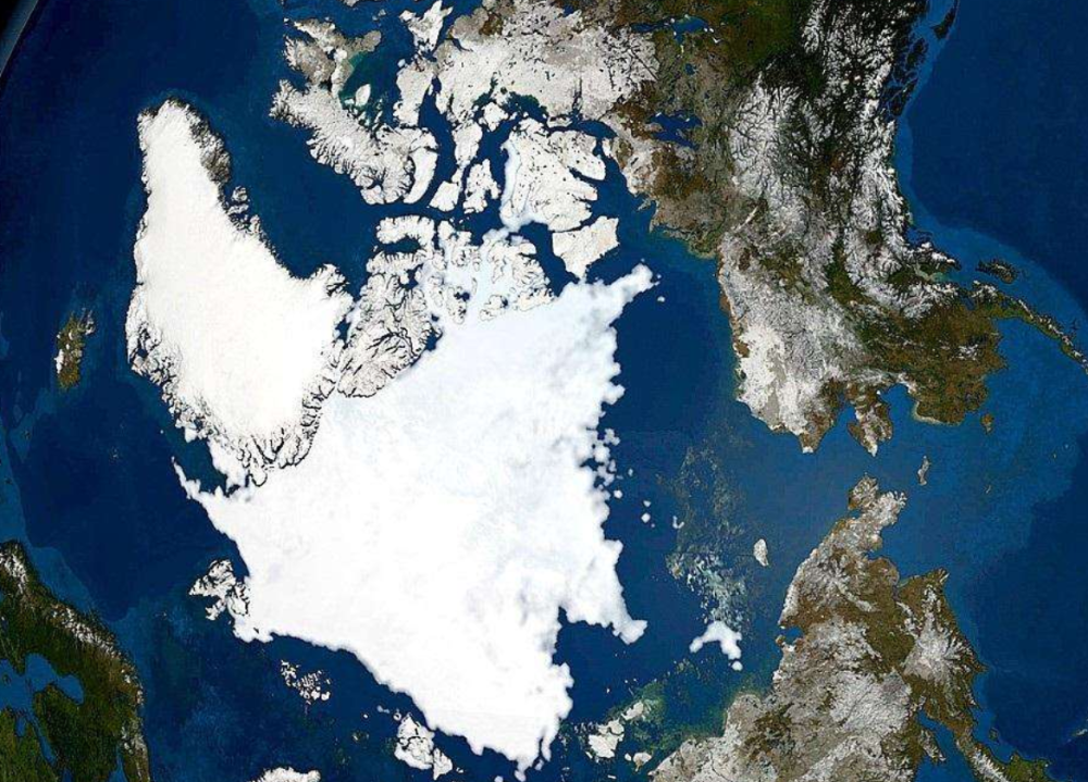 北极熊|科学家发现，北极冰融化或超预期，北极熊可能在加速灭绝中