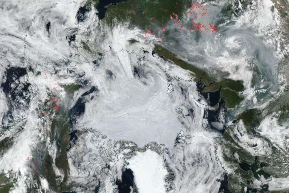 北极熊|科学家发现，北极冰融化或超预期，北极熊可能在加速灭绝中