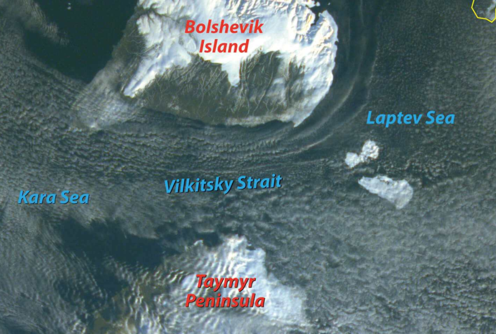 北极熊|科学家发现，北极冰融化或超预期，北极熊可能在加速灭绝中