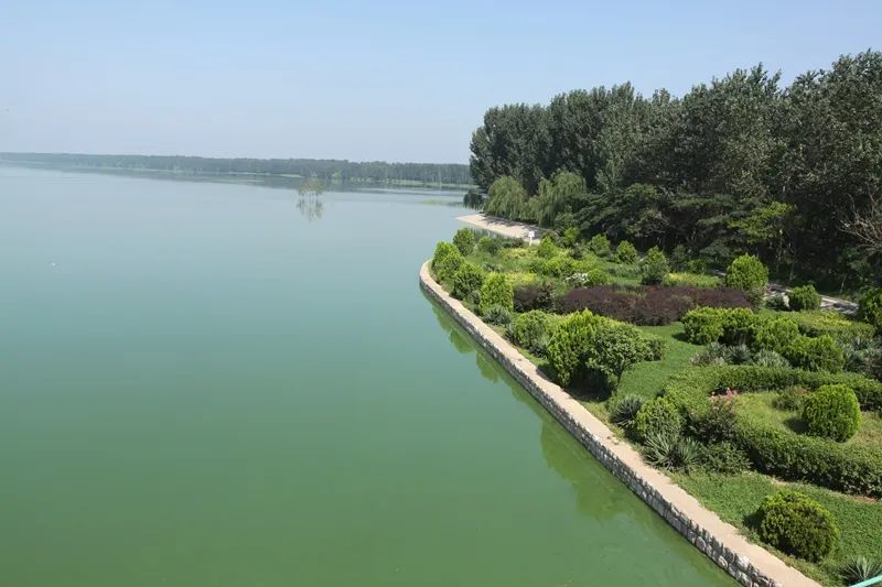 你看这地名都是与水缠绵的亲水社区,虽说不能人定胜河,但可以趋利避害