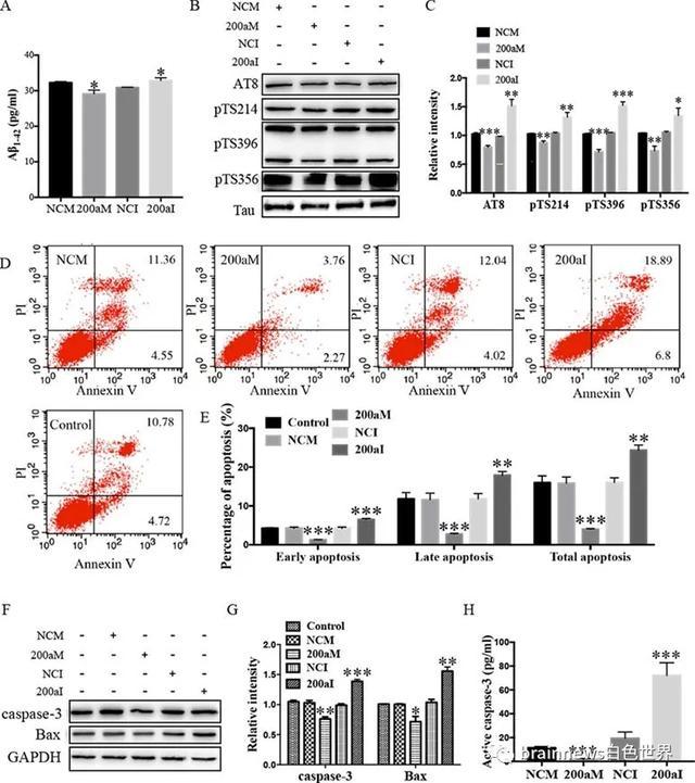 bace1|miR-200a-3p可减轻Aβ产生和Tau 过度磷酸化