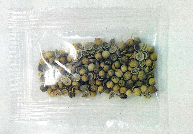 日本_社会|日本男子收到疑似从中国寄来的上百颗种子 当地政府称可能附有害虫