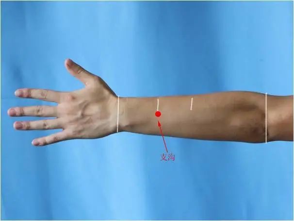 [位置] 在前臂后区,腕背侧远端横纹上3寸,尺骨与桡骨间隙中点.
