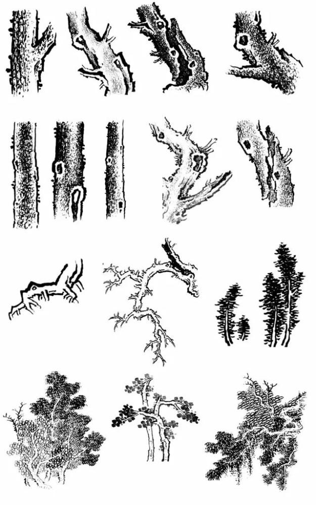 画法|还在为不会画国画而烦恼？学会这些基础画法，画国画其实很简单