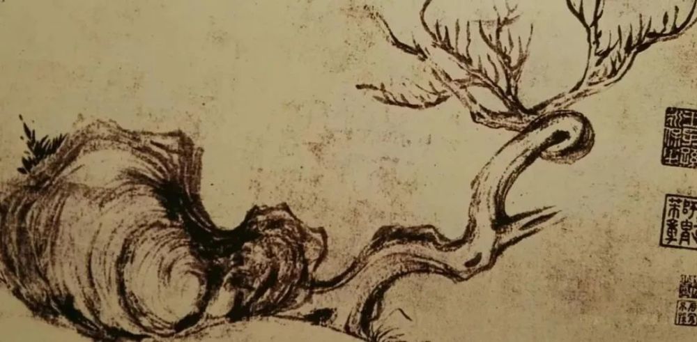 赏石|何以消暑，唯有观石