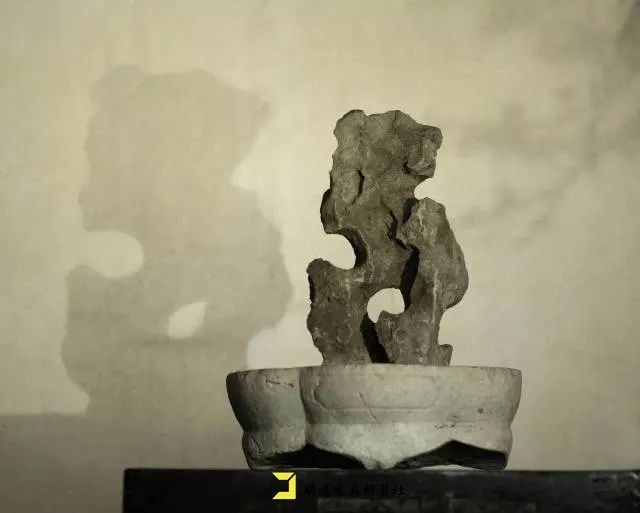 赏石|何以消暑，唯有观石