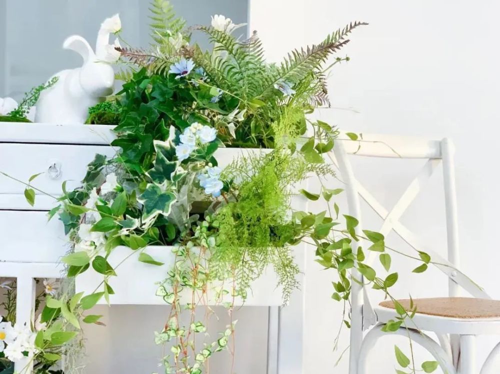 黑胶唱片|798里还有哪些奇妙好玩的空间？