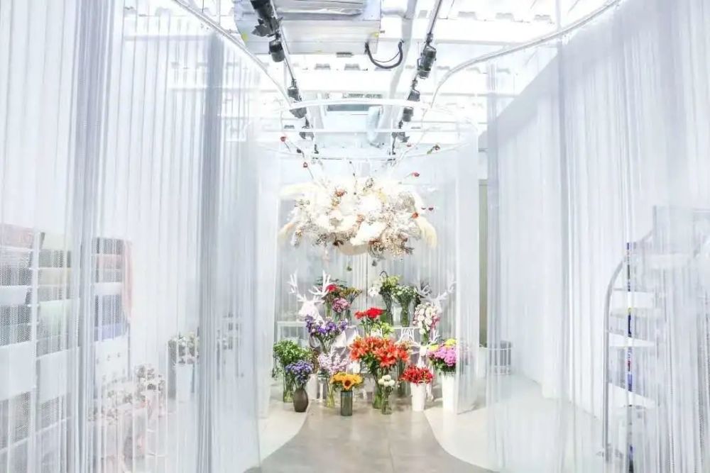 黑胶唱片|798里还有哪些奇妙好玩的空间？