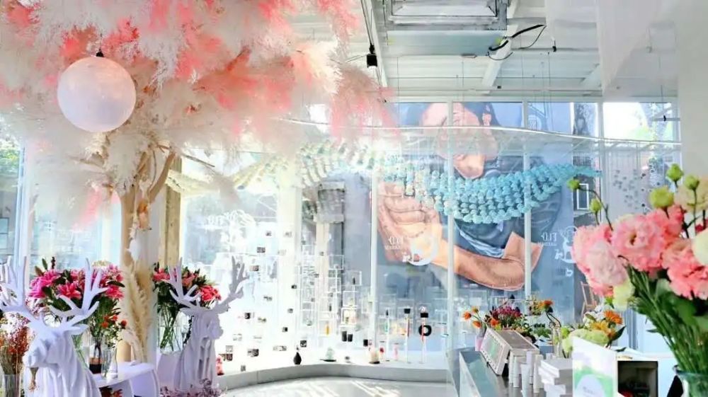 黑胶唱片|798里还有哪些奇妙好玩的空间？