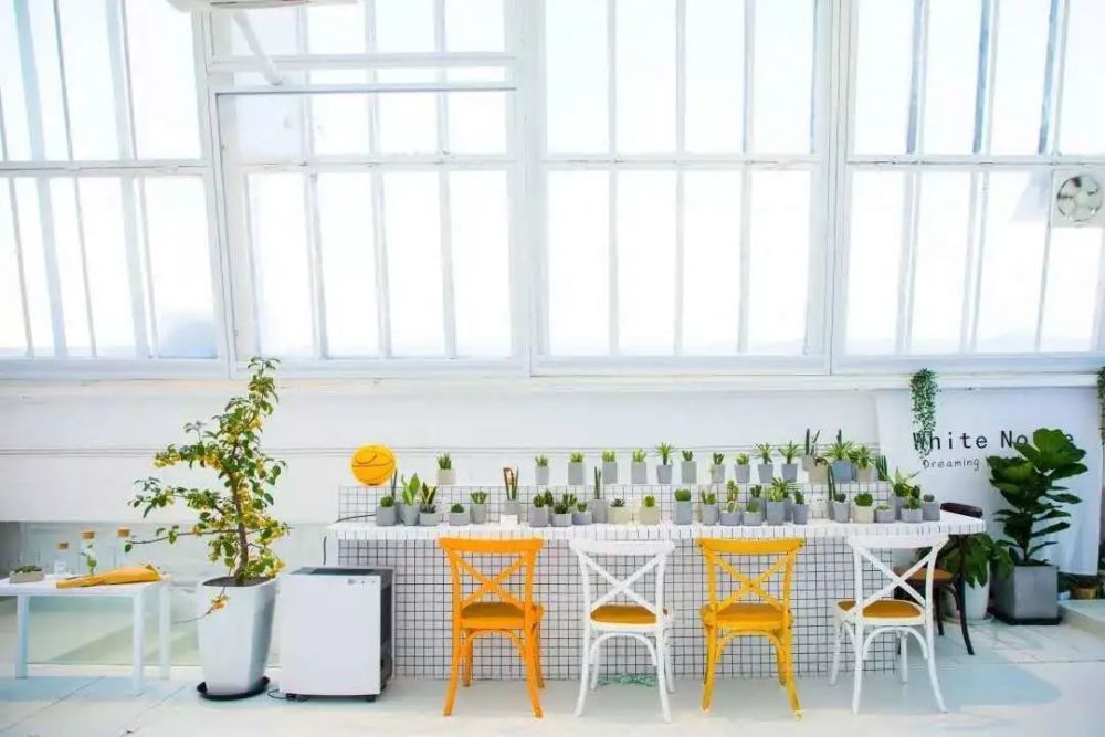 黑胶唱片|798里还有哪些奇妙好玩的空间？