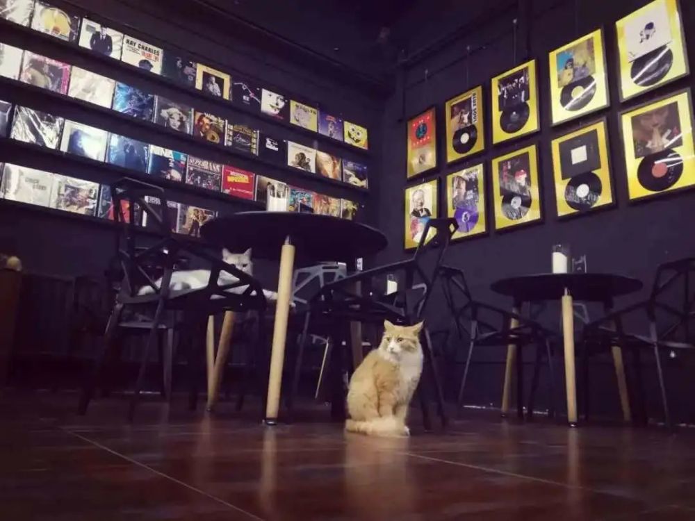 黑胶唱片|798里还有哪些奇妙好玩的空间？