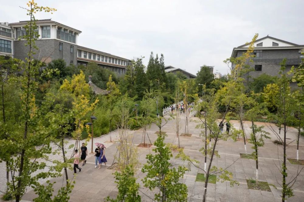 估分520分以上的学生,官一中是最最超值的选择