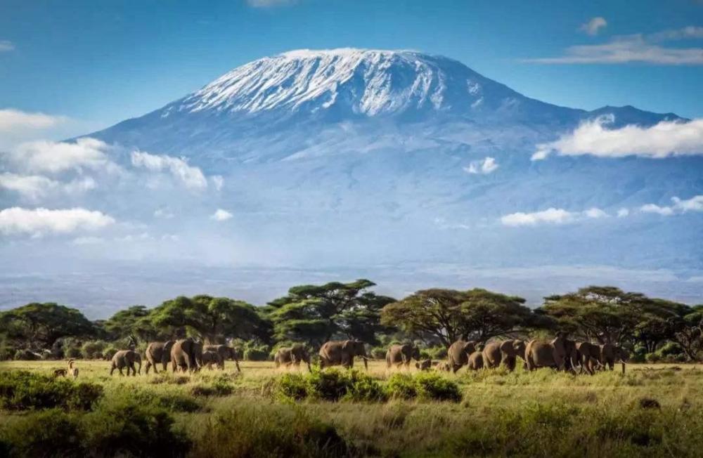 山海经|民科大神破解《山海经》