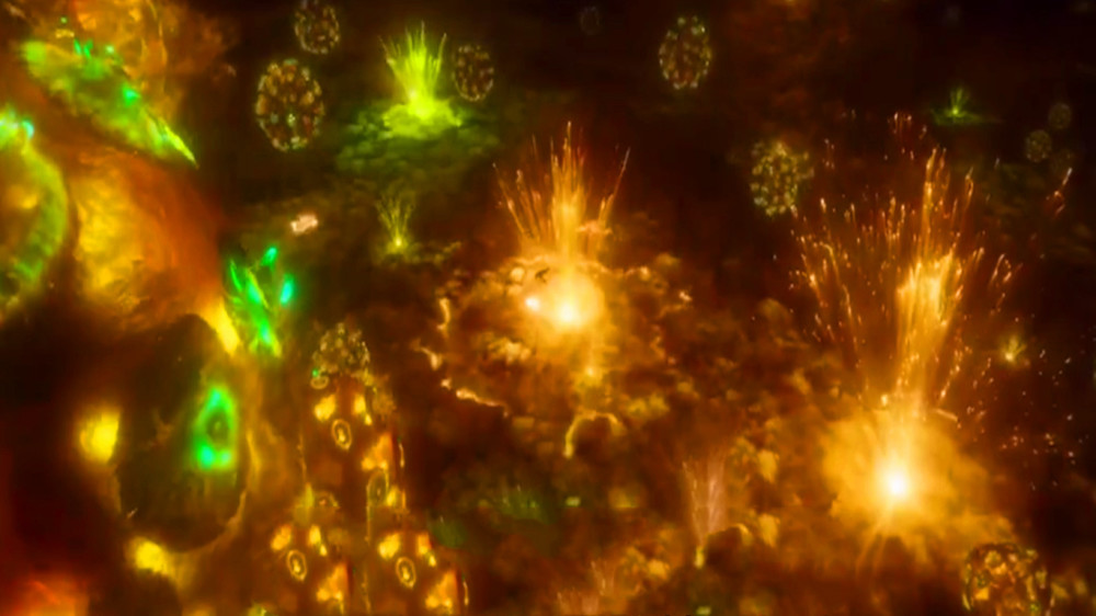 时空|人死后是进入另一时空，还是永远消失？