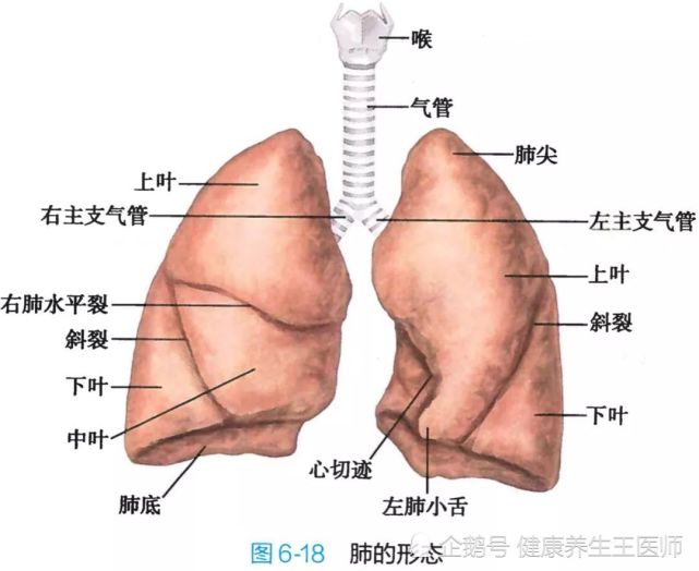 腾讯内容开放平台