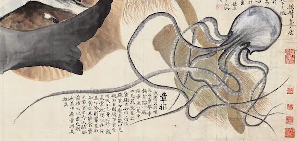 赵之谦|清代赵之谦《异鱼图》的“奇趣”与海洋生物