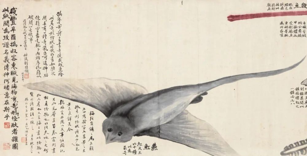 赵之谦|清代赵之谦《异鱼图》的“奇趣”与海洋生物